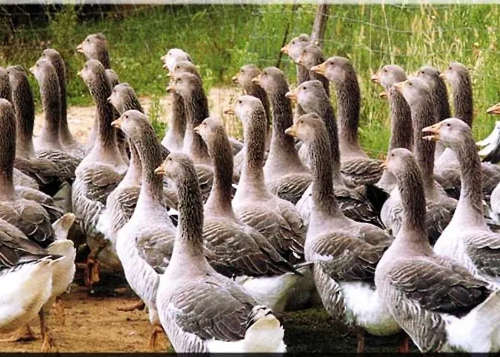 Au Casterot 別荘 Corberes-Aberes